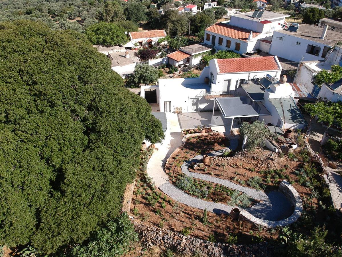 Fourfouras Cottage *