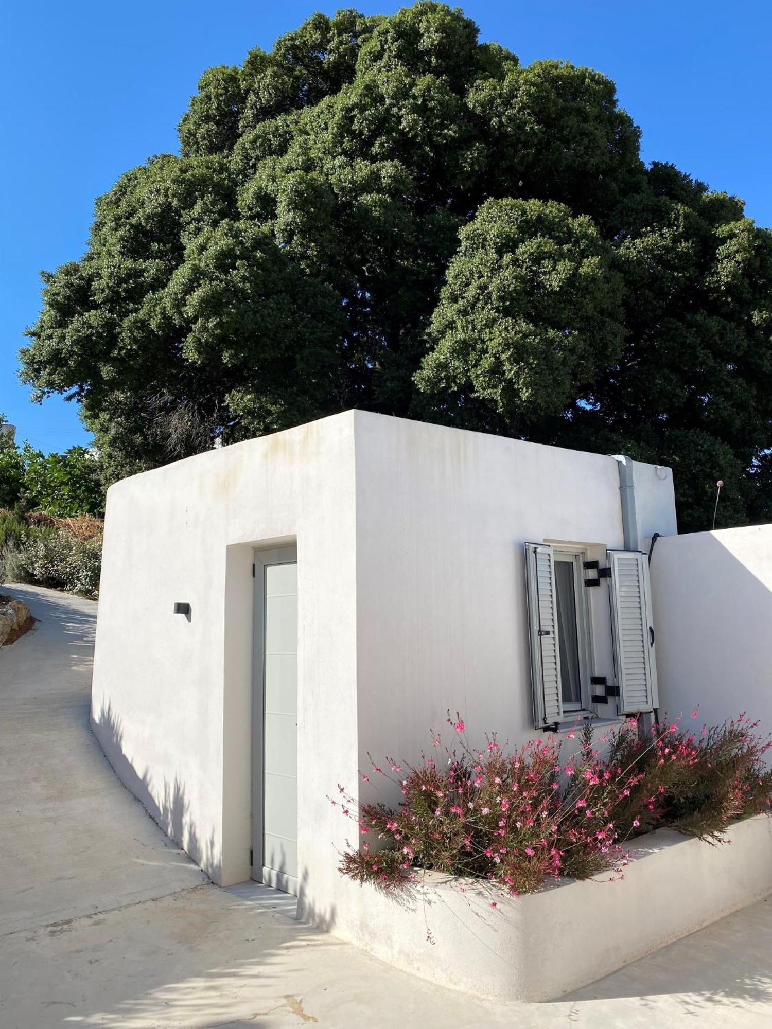 Fourfouras Cottage Ferienhaus *
